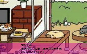 猫咪后院攻略稀有猫