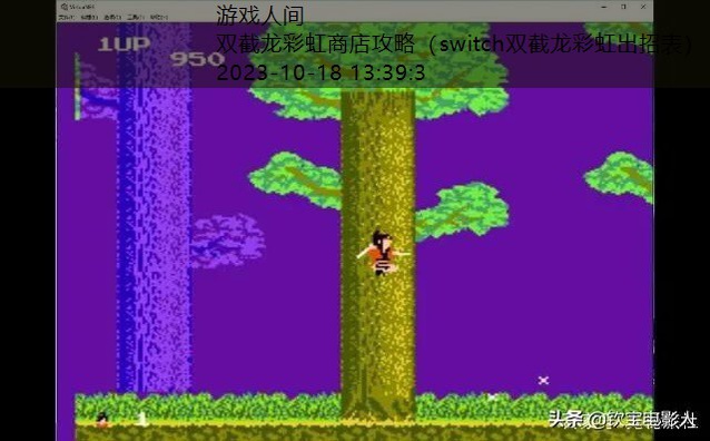 双截龙 gba 秘籍攻略