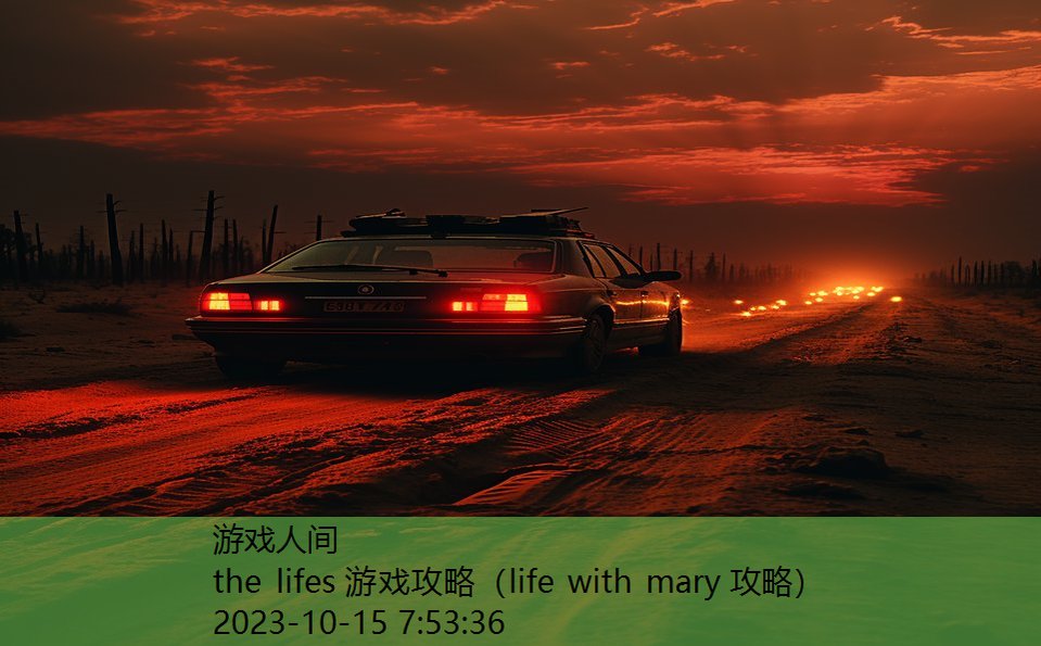 the lifes 游戏攻略（life with mary 攻略）