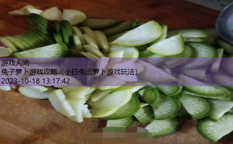 萝卜炖兔子怎么做好吃