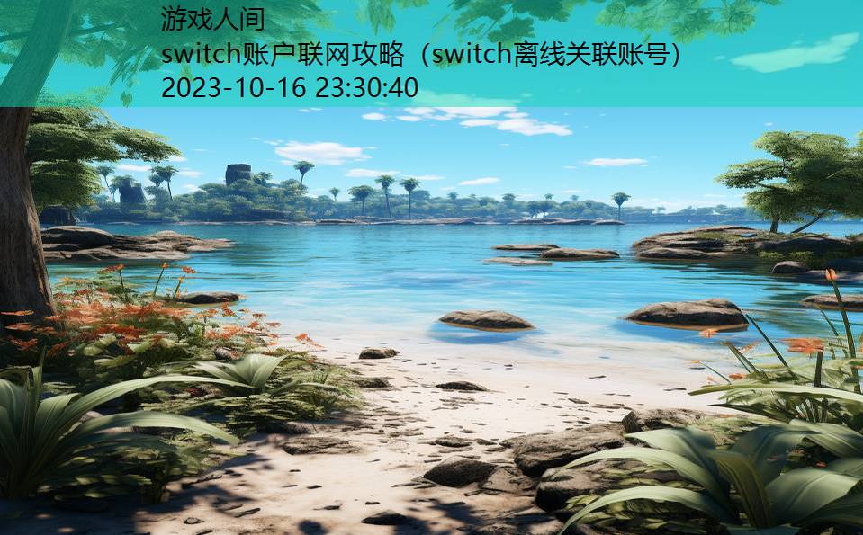 switch账户联网攻略（switch离线关联账号）