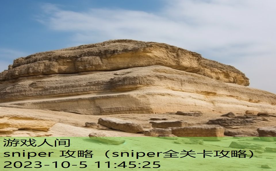 sniper 攻略（sniper全关卡攻略）