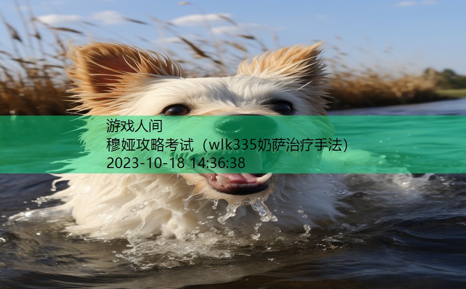 穆娅攻略考试（wlk335奶萨治疗手法）