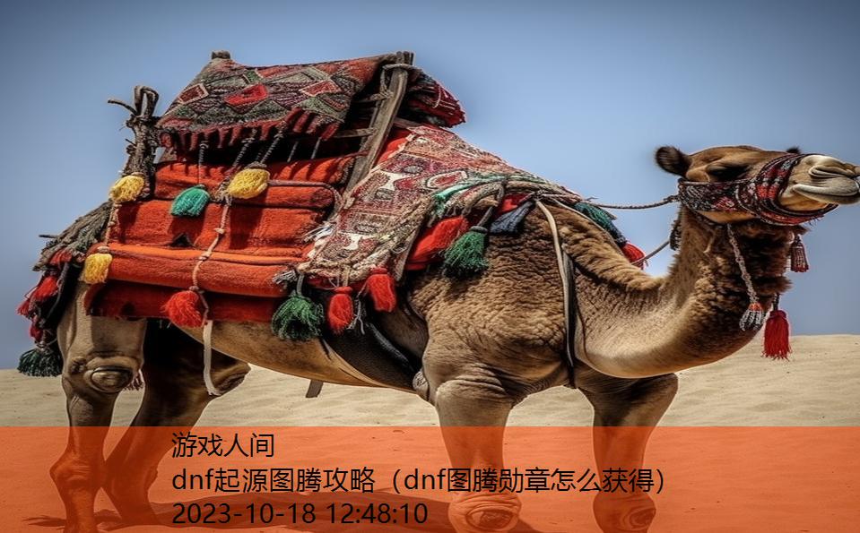 dnf起源图腾攻略（dnf图腾勋章怎么获得）