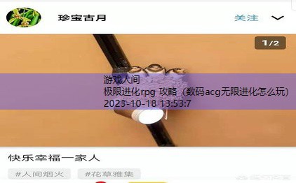 数码acg无限进化怎么玩