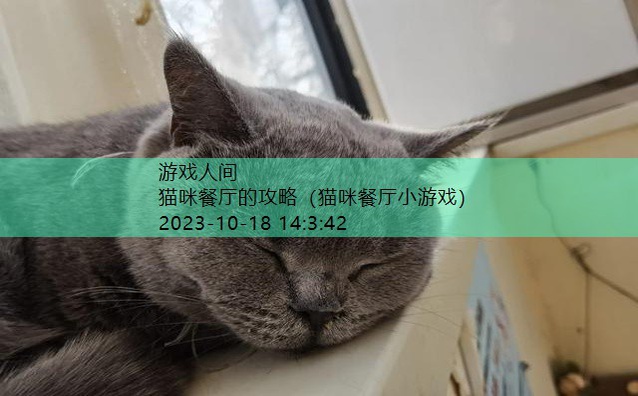 南锣鼓巷猫餐厅用预约吗