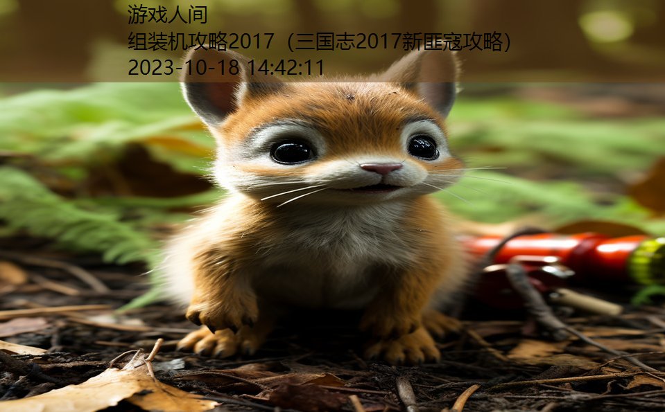 组装机攻略2017（三国志2017新匪寇攻略）