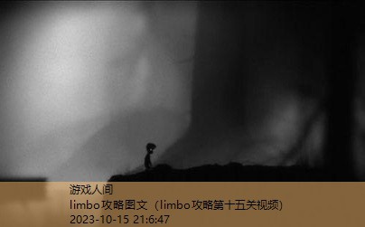 limbo攻略图文