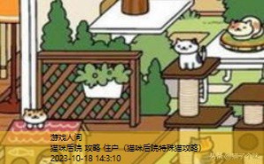 猫咪后院攻略稀有猫