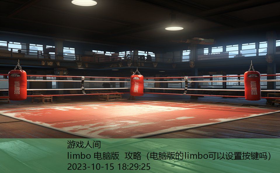 limbo 电脑版 攻略（电脑版的limbo可以设置按键吗）