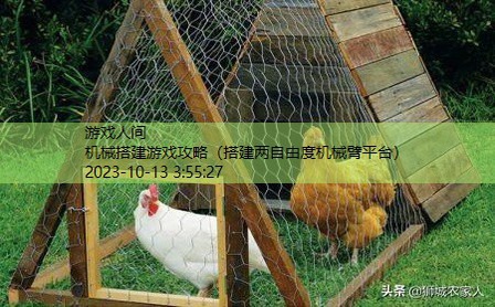 给小鸡造房子建构游戏