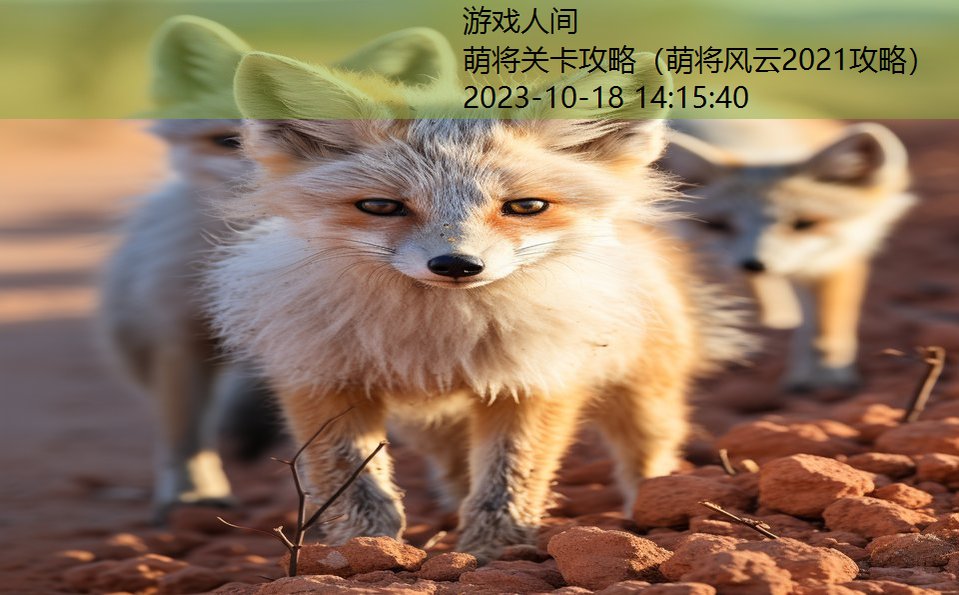 萌将关卡攻略（萌将风云2021攻略）