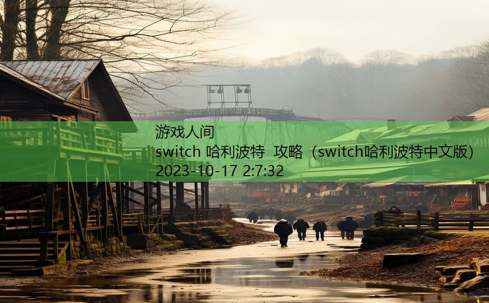 switch 哈利波特 攻略（switch哈利波特中文版）