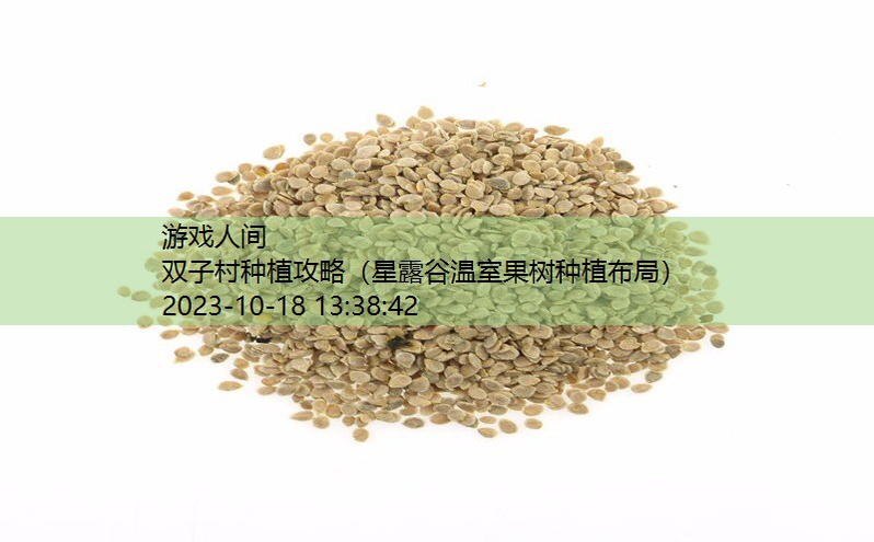 小番茄种子的种植方法