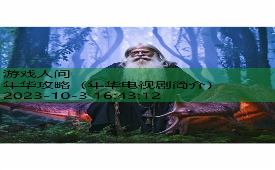 年华攻略（年华电视剧简介）