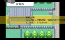 pokemmo攻略道馆-游戏人间