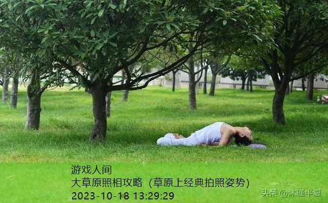 大草原怎么拍照好看