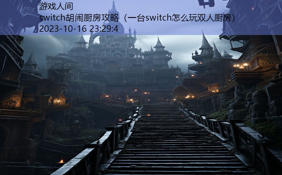 switch胡闹厨房攻略（一台switch怎么玩双人厨房）