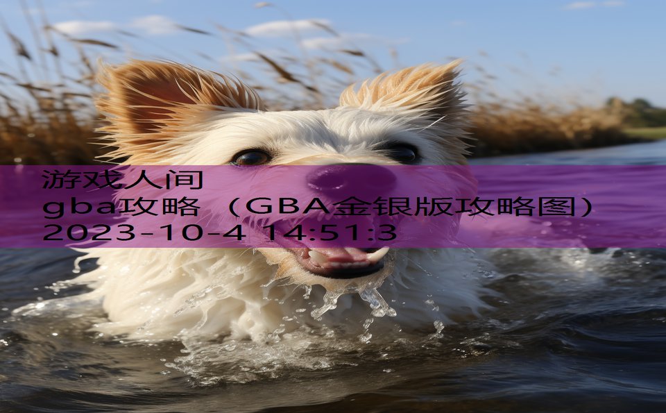 gba攻略（GBA金银版攻略图）