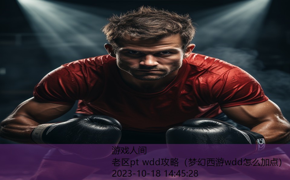 老区pt wdd攻略（梦幻西游wdd怎么加点）