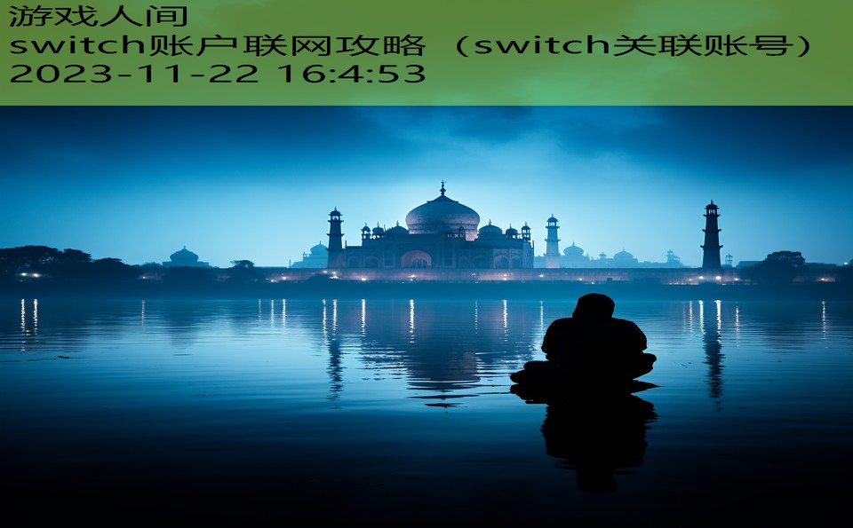 switch账户联网攻略（switch关联账号）