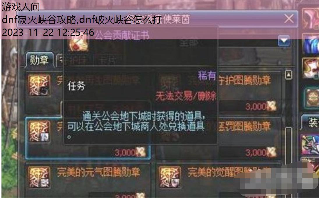 dnf徽章怎么得