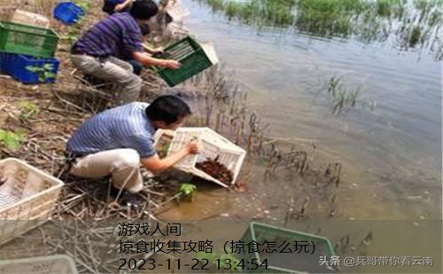 掠食流程