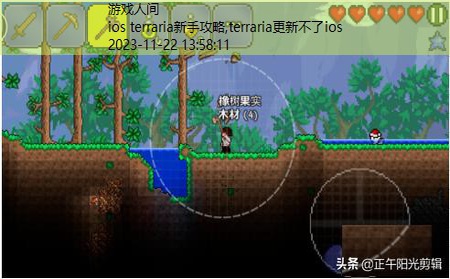 terraria新手攻略