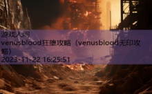 venusblood狂堕攻略-游戏人间