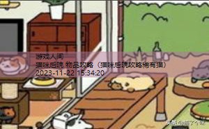 猫咪后院最吸金布置