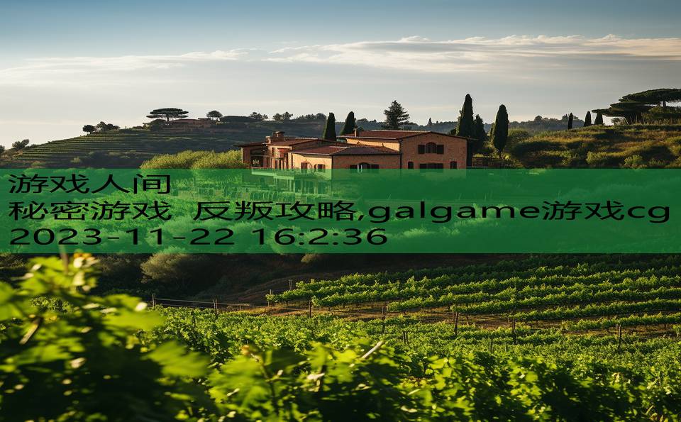 秘密游戏 反叛攻略,galgame游戏cg