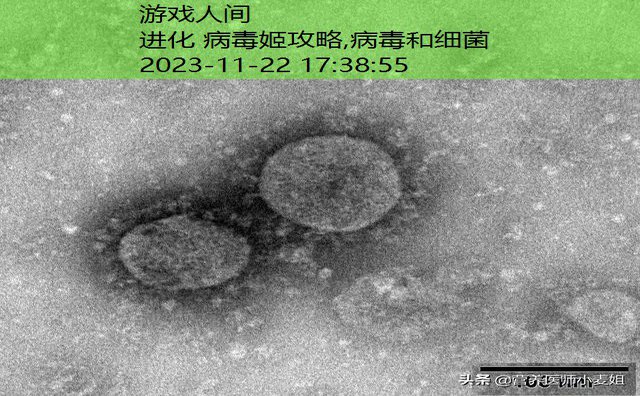 新型病毒是如何 产生的