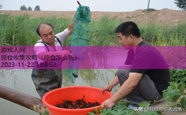 掠食流程