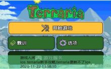 ios terraria新手攻略,terraria更新不了ios-游戏人间