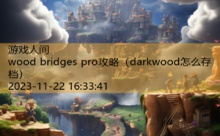 wood bridges pro攻略-游戏人间