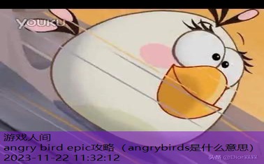 angrybirds是什么意思