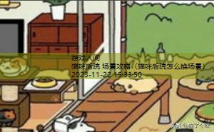 猫咪后院特殊猫