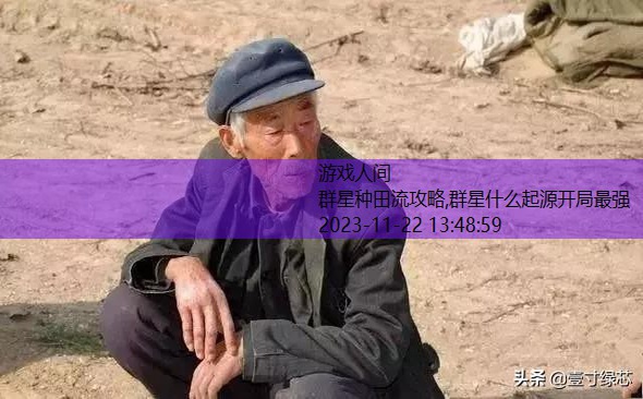 无人教我怎么玩种田