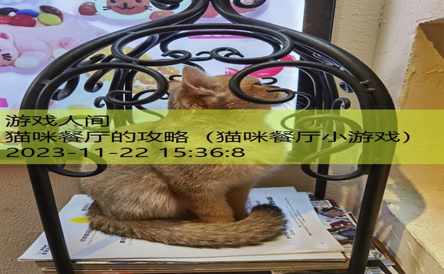 猫小院猫主题餐厅怎么样