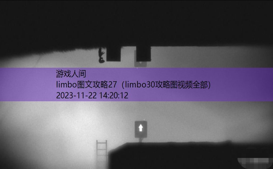 limbo第九关怎么过