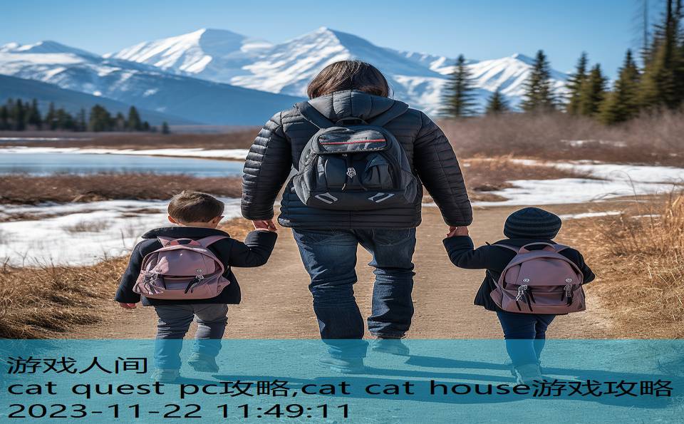 cat quest pc攻略,cat cat house游戏攻略