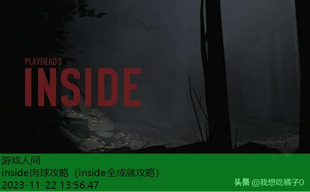 inside肉球怎么扔箱子