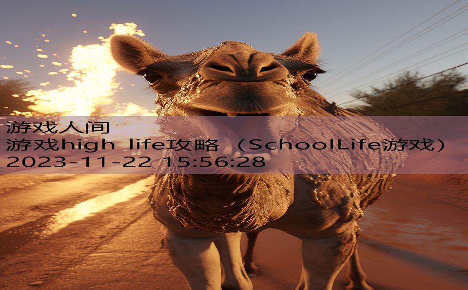 游戏high life攻略（SchoolLife游戏）