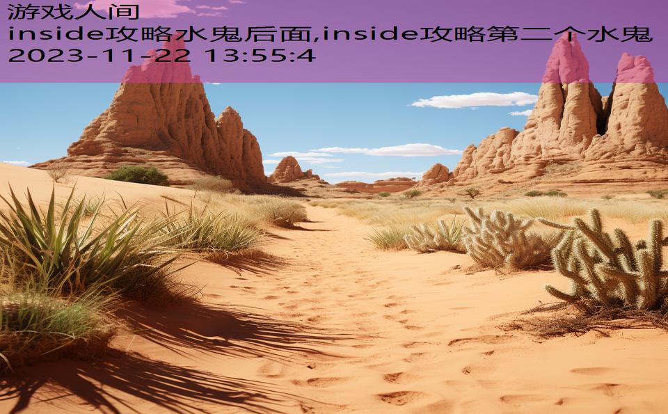 inside攻略水鬼后面,inside攻略第二个水鬼