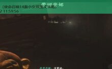 cod14 攻略-游戏人间