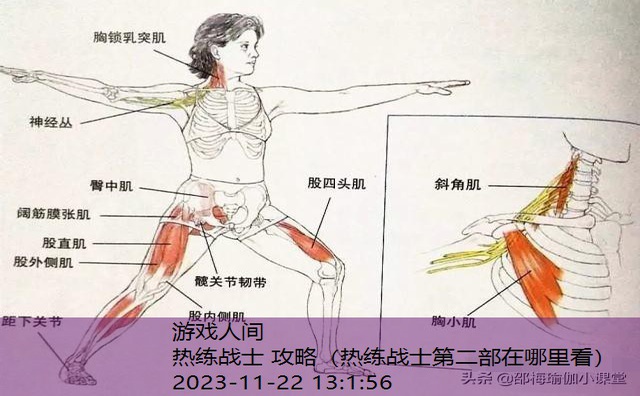 怎样练好瑜伽战士三式