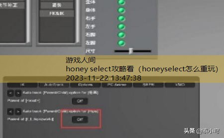 honeyselect终极版