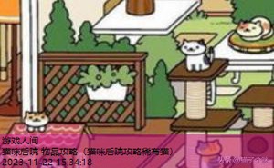 猫咪后院最吸金布置