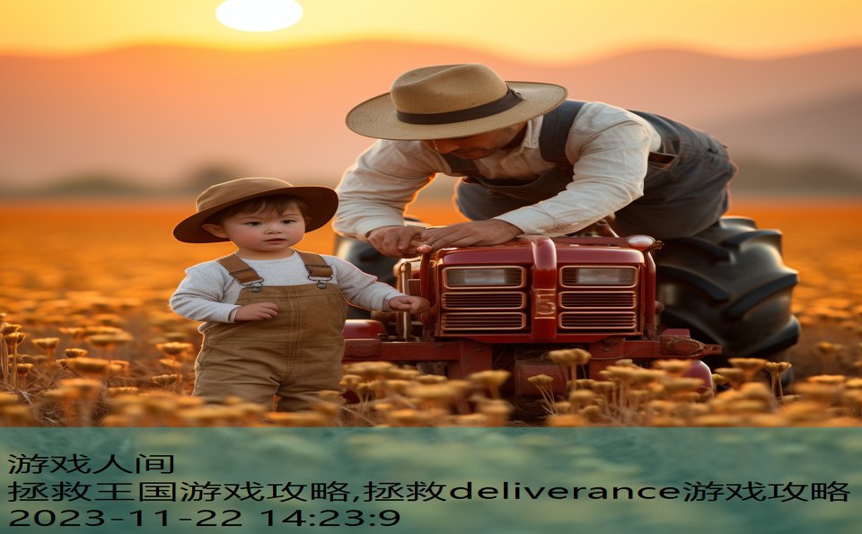 拯救王国游戏攻略,拯救deliverance游戏攻略