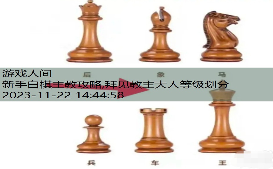 新手白棋主教攻略